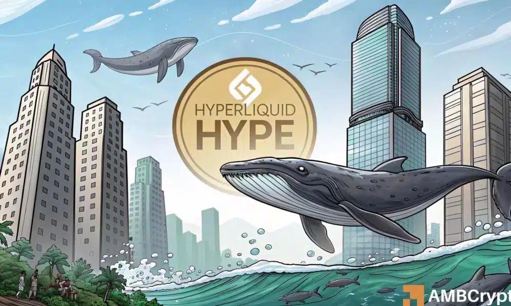 Hyperliquid的需求在两大群体中激增——HYPE的未来会怎样?