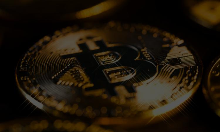 Gemini 报告:认为 Memecoin 是加密货币投资的入口门户