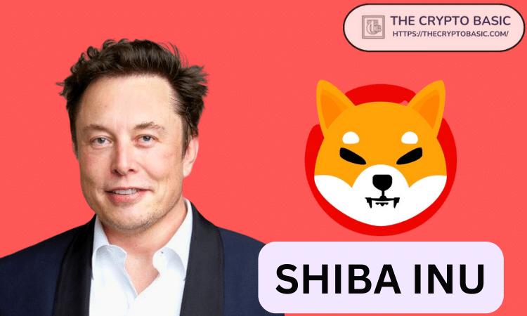 如果 SHIB 与 Elon Musk 的财富相匹配,那么 1 只柴犬的价格是多少?